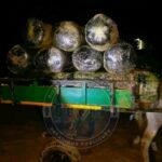 Gendarmerie Nationale Sénégalaise 